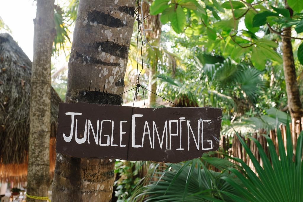 Turquesa Tulum Jungle Camping Ngoại thất bức ảnh