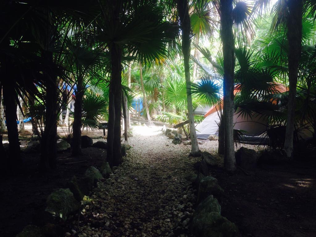 Turquesa Tulum Jungle Camping Ngoại thất bức ảnh