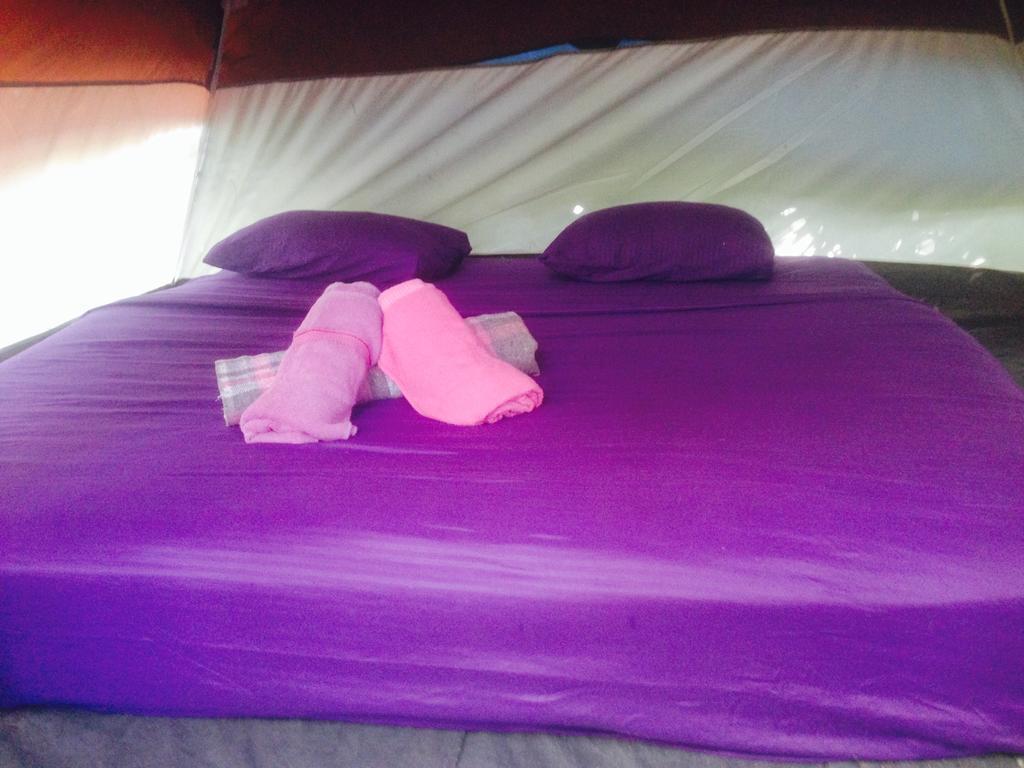 Turquesa Tulum Jungle Camping Ngoại thất bức ảnh